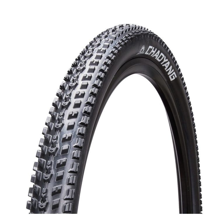 Neumático Chaoyang Fast Lane 29x2.25 Tubeless Ready