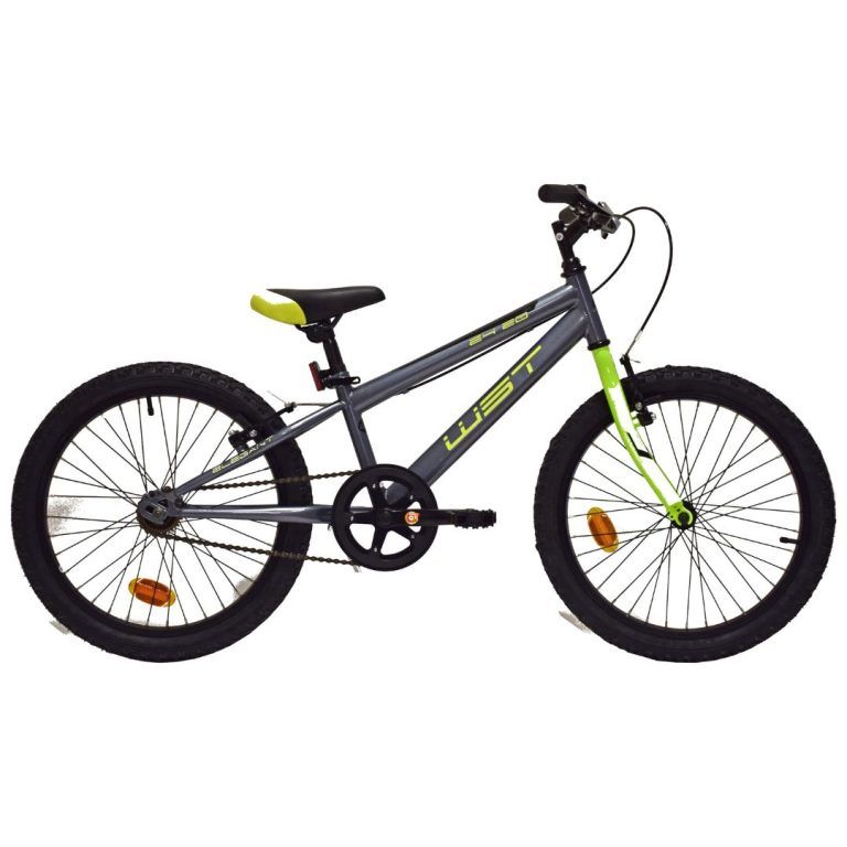 Bicicleta Infantil WST junior 20 Pulgadas 1 vel. Gris