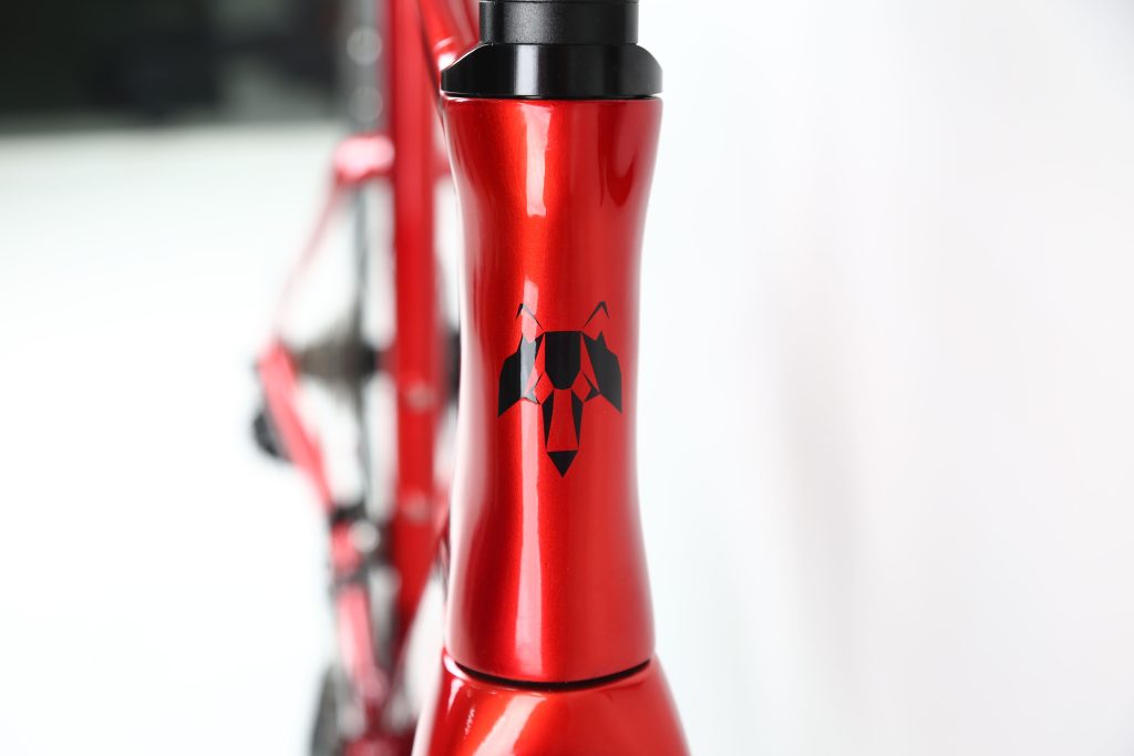 Bicicleta Carretera Lobito RV10 Rojo 2024
