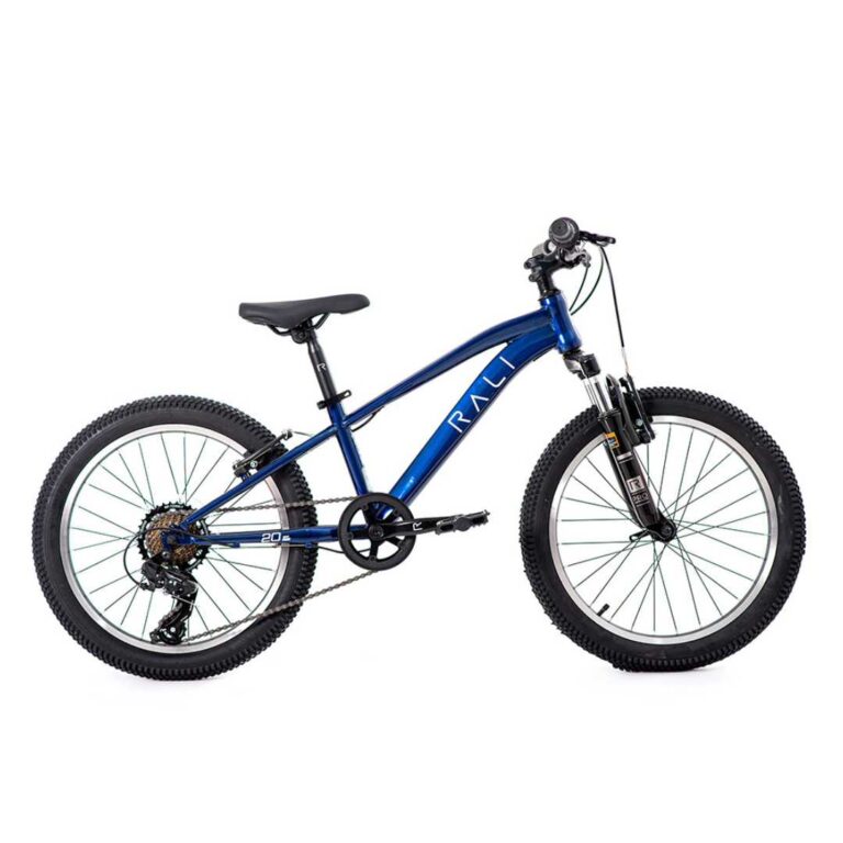 bicicleta-infantil-rali-pro-1-20-pulgadas-7v-azul