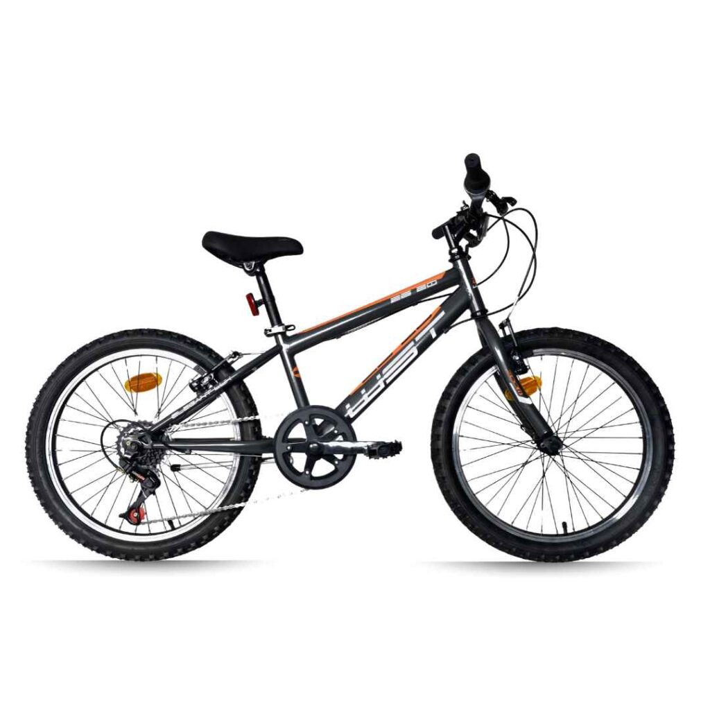 Bicicleta Infantil 20 pulgadas WST Elegant 6v Gris