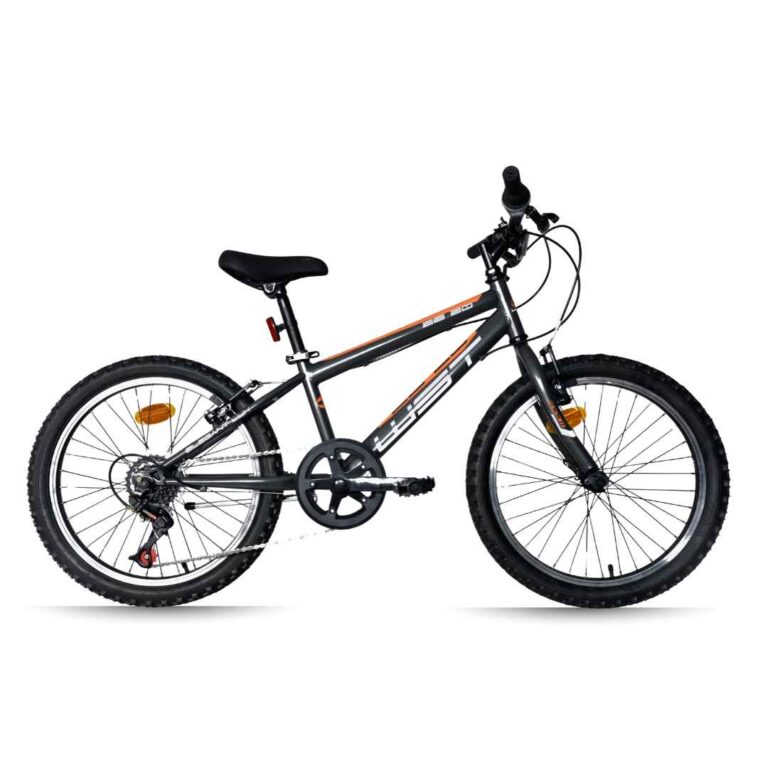 Bicicleta Infantil 20 pulgadas WST Elegant 6v Gris