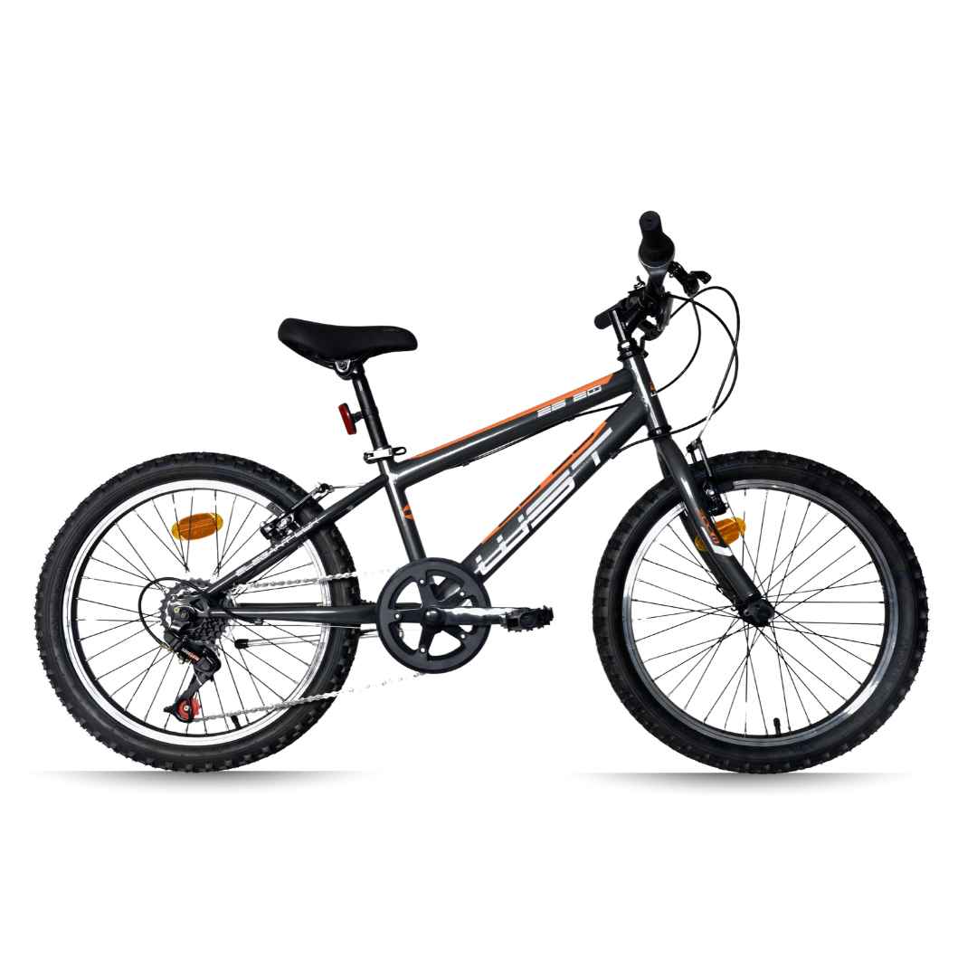 bicicleta-infantil-20-pulgadas-wst-elegant-6v-gris Bicicleta Infantil 20 pulgadas WST Elegant 6v Gris