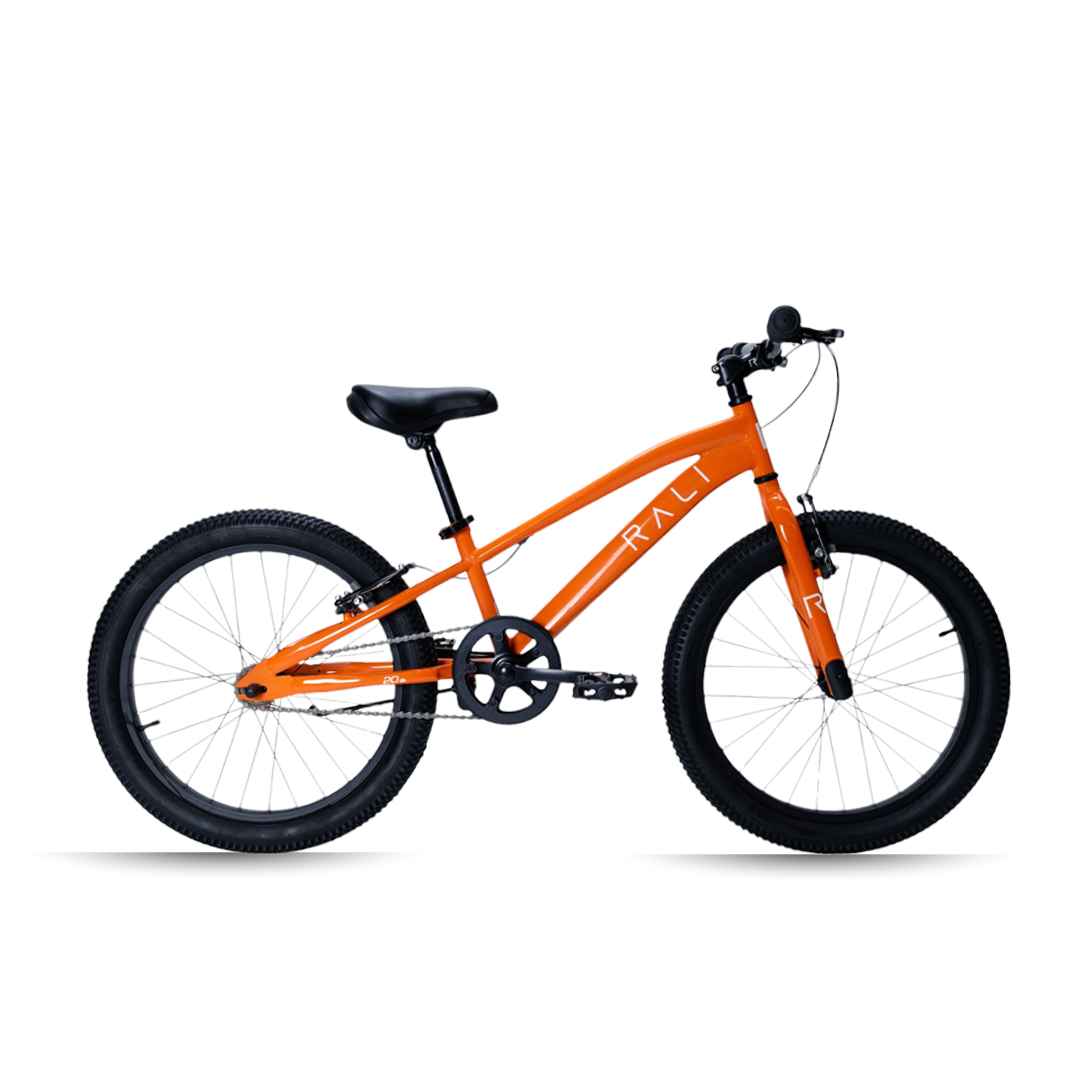 bicicleta-infantil-rali-pro2-20-pulgadas-1v-naranja Bicicleta Infantil Rali Pro2 20 pulgadas 1v. Naranja